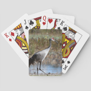 Sandhill Crane Playing Cards