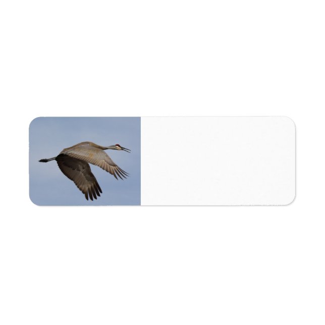 Sandhill Crane return address label (Front)