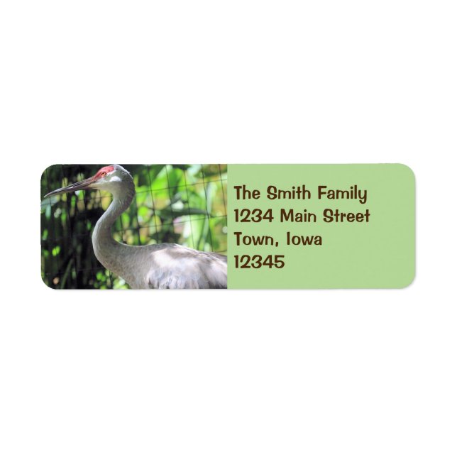 Sandhill crane return address label (Front)