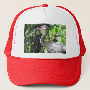 Sandhill crane   trucker hat