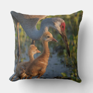 Sandhill crane with chicks, Florida Cushion