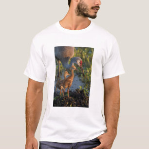 Sandhill crane with chicks, Florida T-Shirt