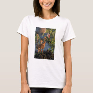 Sandhill crane with chicks, Florida T-Shirt