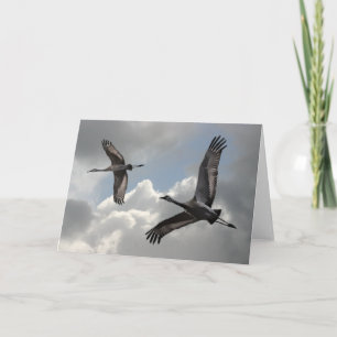 SANDHILL CRANES CARD