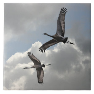 SANDHILL CRANES CERAMIC TILE