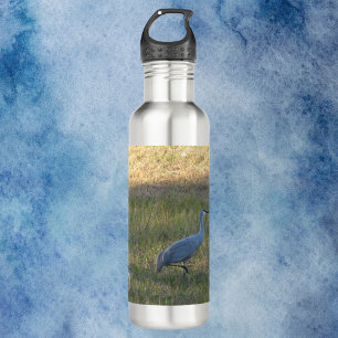 Sandhill Cranes Eating Grass Photograph 710 Ml Water Bottle