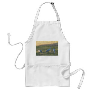 Sandhill Cranes Grazing in Grass Photo Apron