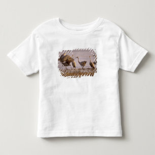 Sandhill Cranes Grus canadensis) Platte Toddler T-Shirt