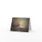 Sandhill Cranes In The Mist Greeting Cards