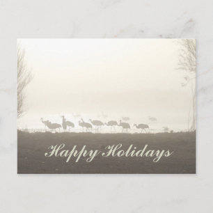 Sandhill Cranes in the Mist Happy Holidays Holiday Postcard