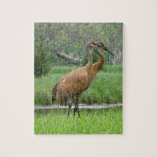 Sandhill Cranes Jigsaw Puzzle