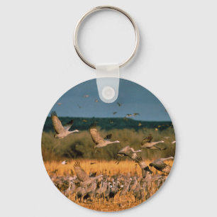 Sandhill Cranes Key Ring