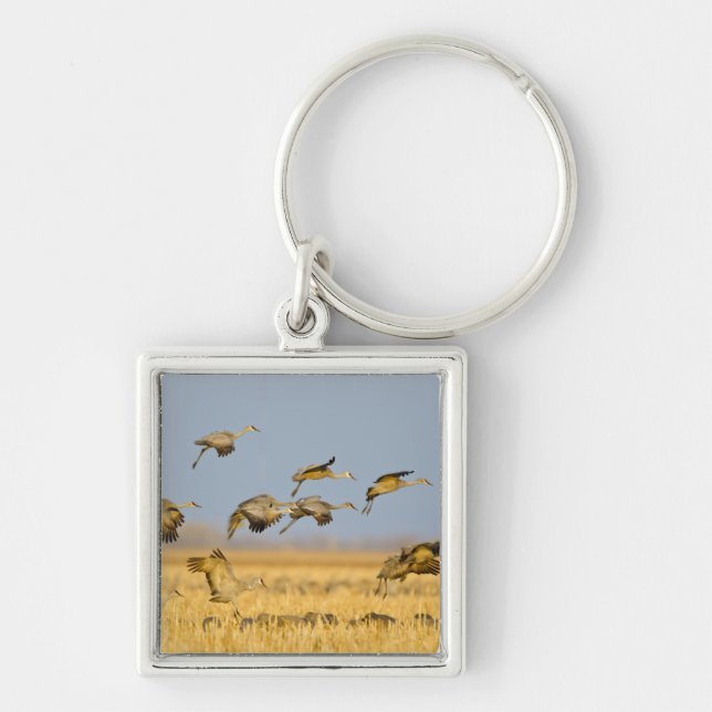 Sandhill cranes land in corn fields key ring (Front)