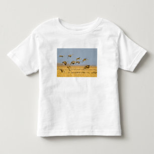Sandhill cranes land in corn fields toddler T-Shirt