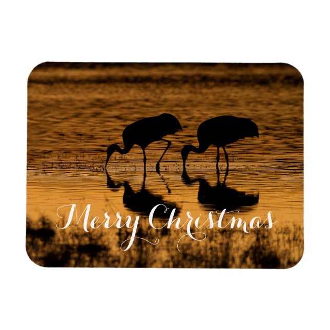 Sandhill Cranes, Merry Christmas Magnet (Horizontal)