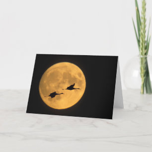 Sandhill Cranes   National Wildlife Reserve Card