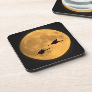 Sandhill Cranes National Wildlife Reserve Coaster