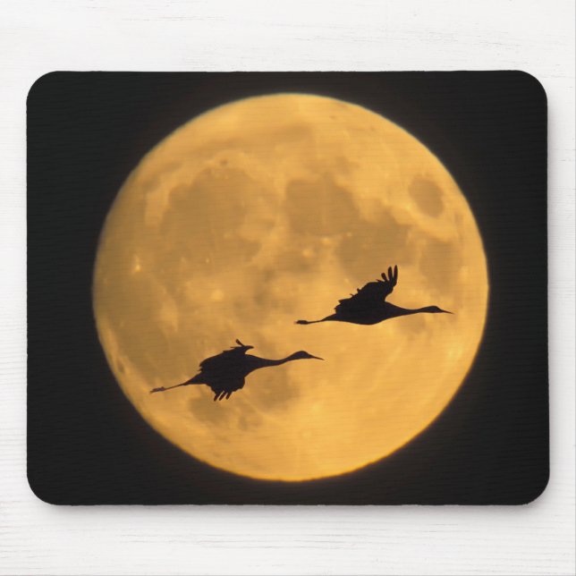 Sandhill Cranes | National Wildlife Reserve Mouse Pad (Front)