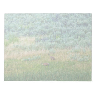 Sandhill Cranes Notepad