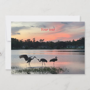 Sandhill cranes silhouette at sunset at the lake holiday card