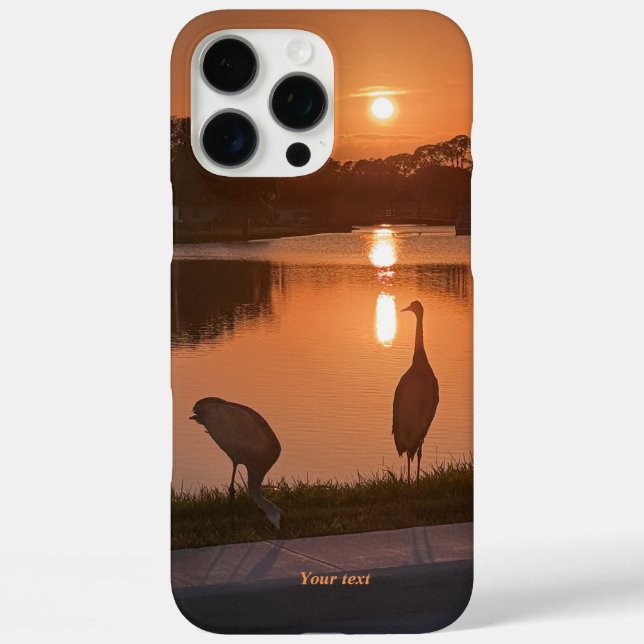 Sandhill cranes silhouette at Sunset Case-Mate iPhone Case (Back)
