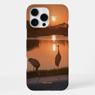 Sandhill cranes silhouette at Sunset iPhone 16 Pro Max Case