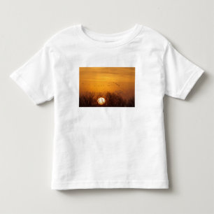 Sandhill cranes silhouetted aginst rising sun toddler T-Shirt