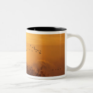 Sandhill cranes silhouetted aginst rising sun Two-Tone coffee mug