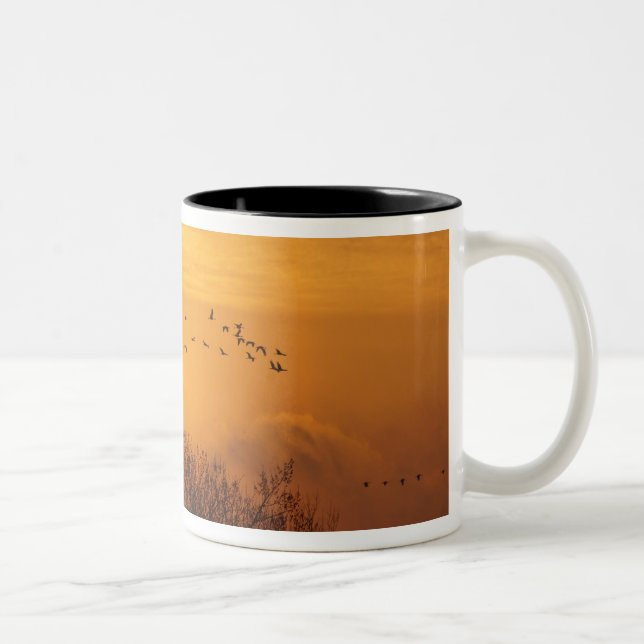 Sandhill cranes silhouetted aginst rising sun Two-Tone coffee mug (Right)