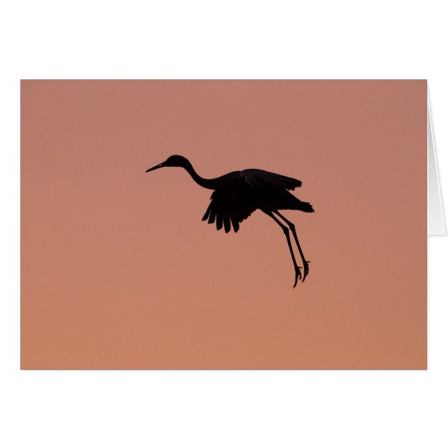 Sandhill silhouette on a pink sunset sky (Front Horizontal)