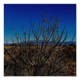 Sandia Mountains Albuquerque  Photo Print