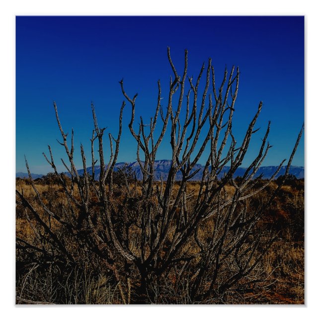 Sandia Mountains Albuquerque  Photo Print (Front)