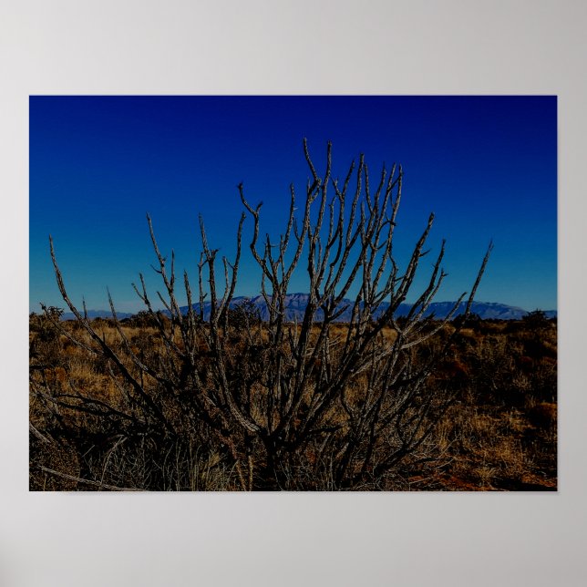 Sandia Mountains Albuquerque  Poster (Front)