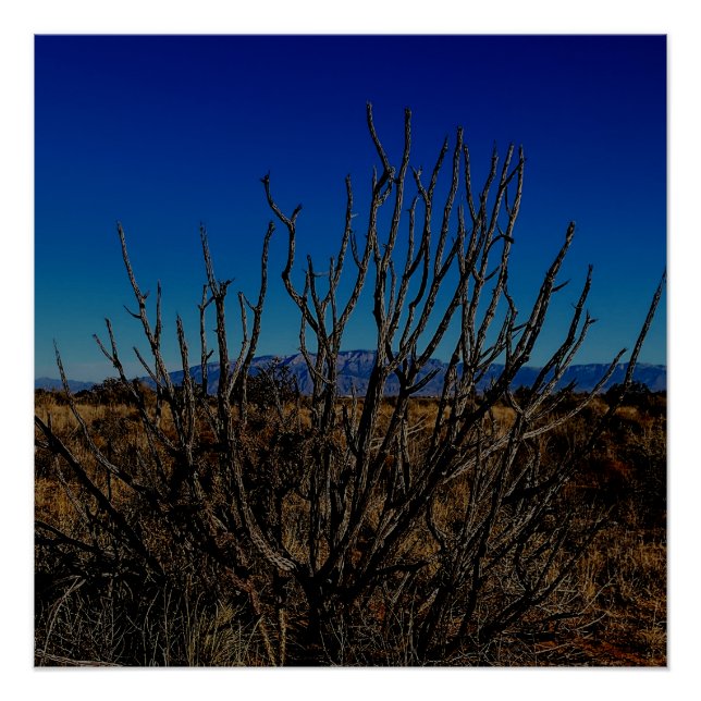 Sandia Mountains Albuquerque  Poster (Front)