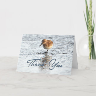 Sandpiper Beach Photo Thank You Card