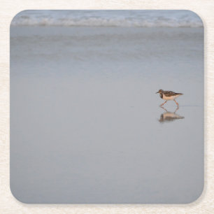 Sandpiper Bird Beach Nature Coastal Photograph Square Paper Coaster