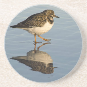 Sandpiper Bird Coaster
