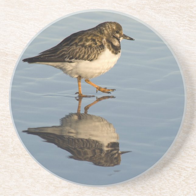 Sandpiper Bird Coaster (Front)
