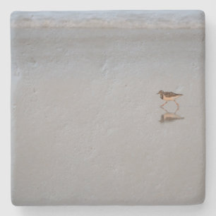 Sandpiper Bird Wildlife Beach Nature Photo Stone Coaster