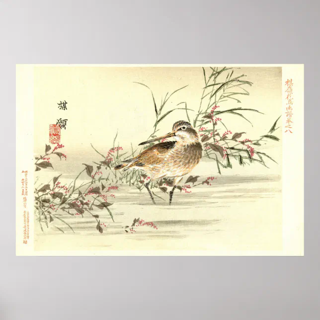 Sandpiper In Water Vintage Japanese Oriental Art Poster | Zazzle
