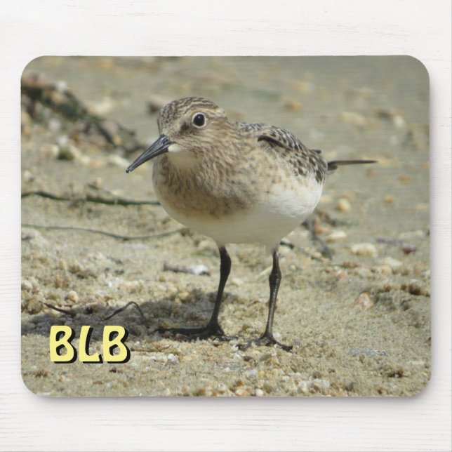 Sandpiper on Beach with your initials Mouse Pad (Front)