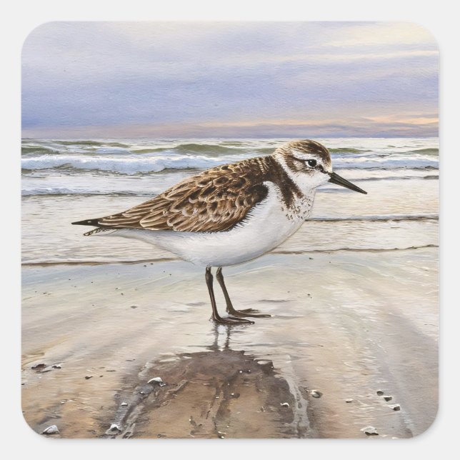 Sandpiper on the Beach Bird Art Square Sticker (Front)