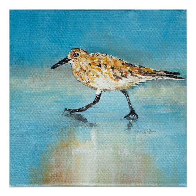 Sandpiper Painting Art Print (Front)