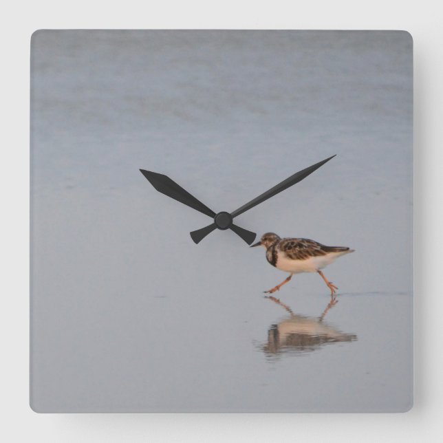 Sandpiper Running Along The Beach Square Wall Clock (Front)