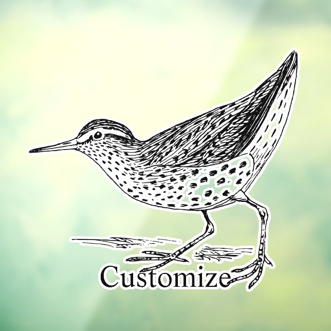 Sandpiper Shorebird Thunder_Cove (Sheet 3)