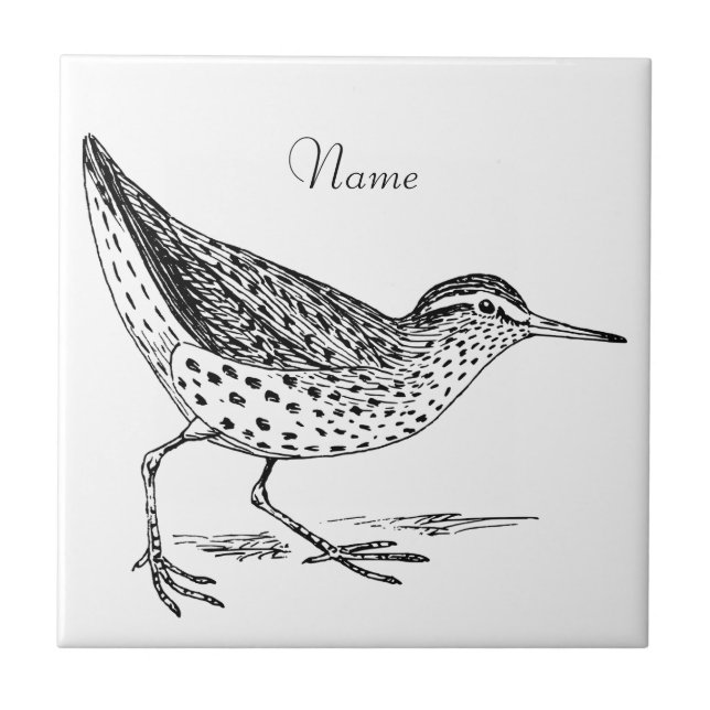 Sandpiper Shorebird Thunder_Cove  Ceramic Tile (Front)