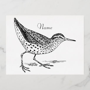 Sandpiper Shorebird Thunder_Cove Foil Holiday Postcard