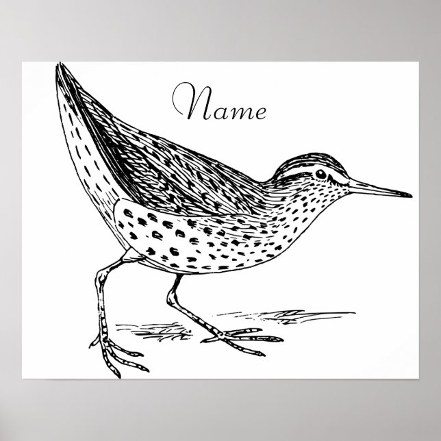 Sandpiper Shorebird Thunder_Cove Poster (Front)