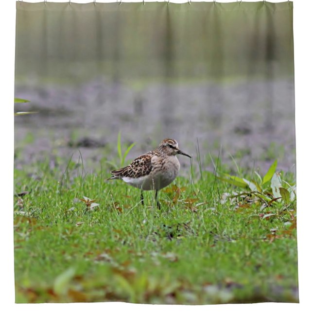 Sandpiper Shower Curtain (Front)