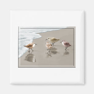 Sandpipers at the Shoreline Magnet